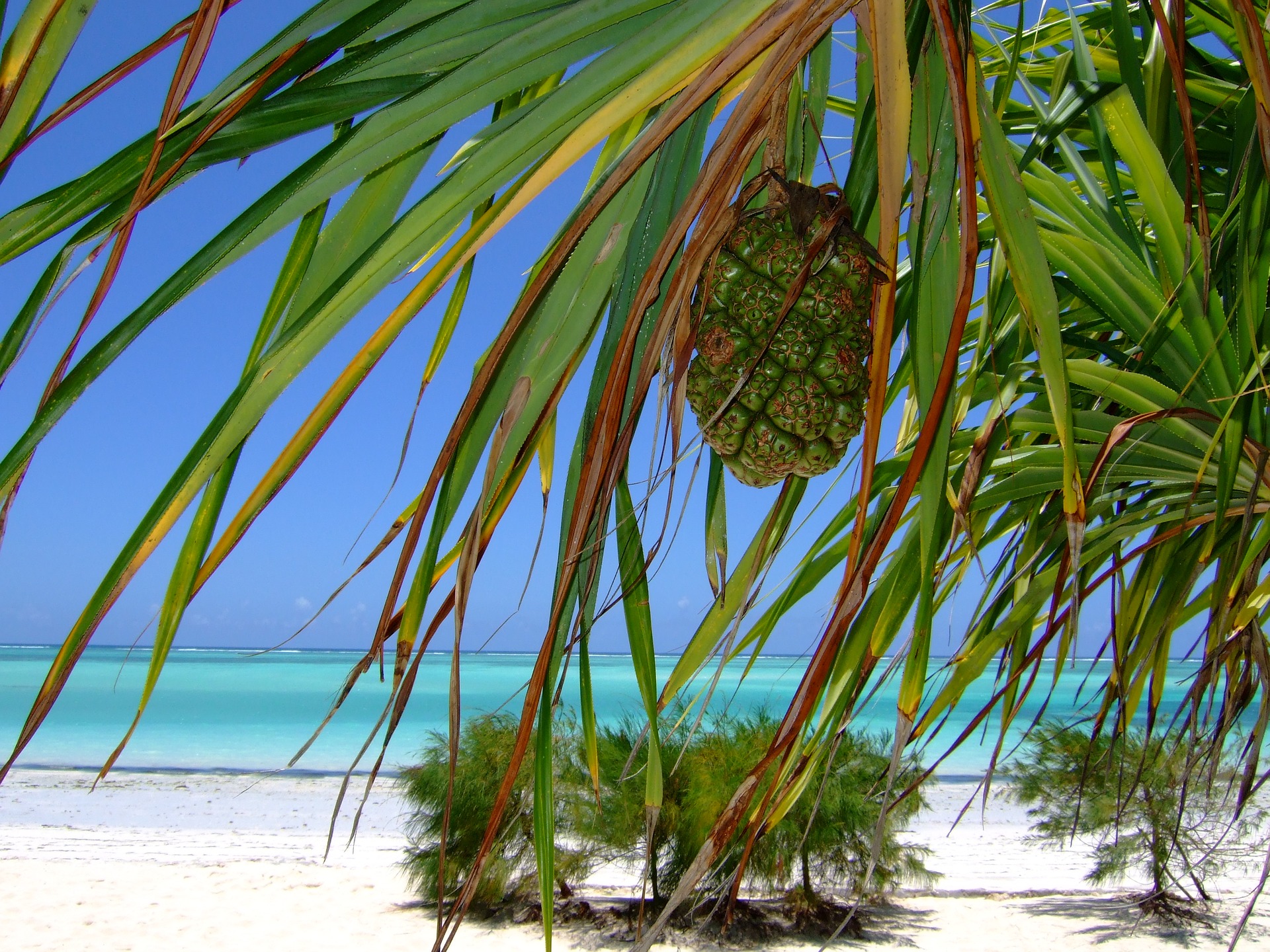 2 Wochen Strandurlaub auf Sansibar für 731€ p.P. mit DirektFlügen