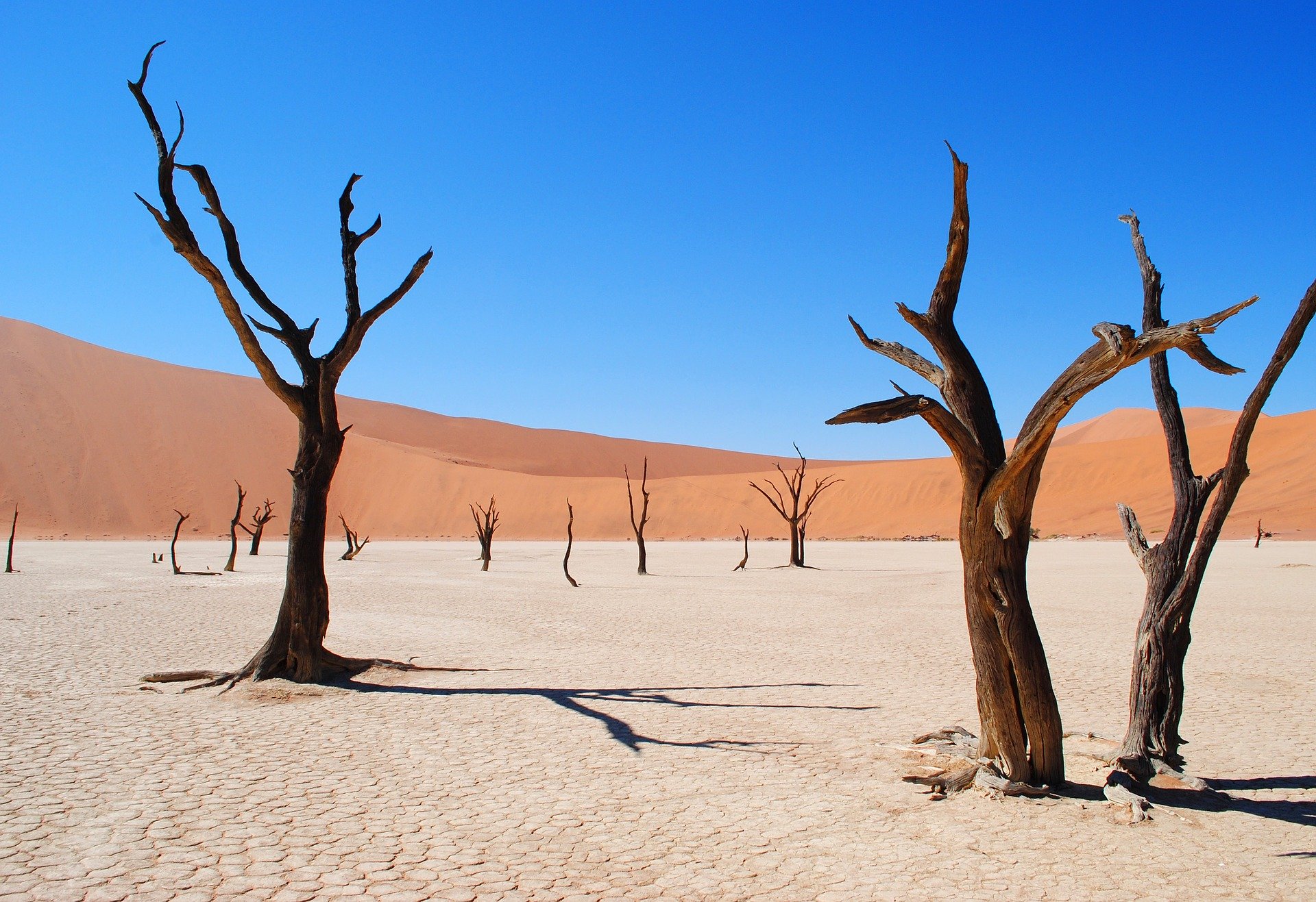 deadvlei-2011373_1920