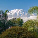 16 Tage Tansania mit Serengeti, Kilimanjaro & Sansibar ab 1.109€ p.P. inkl. Flügen, Mietwagen und allen Unterkünften