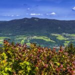 All Inclusive Wellness-Urlaub im Bayrischen Wald: 1 Woche im Landhotel Rosenberger in Wegscheid für 335€ p.P.