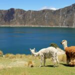 Super günstige Flüge nach Ecuador ab 479€ von Zürich inkl. Aufgabegepäck