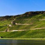 Hotel-Empfehlung an der Mosel: 3 Nächte in der Villa Halfenstube in Senheim mit Frühstück ab 179€ p.P.