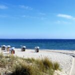 beach-6216539_1920