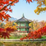 Günstige Flüge nach Südkorea ab 549€ zur besten Reisezeit