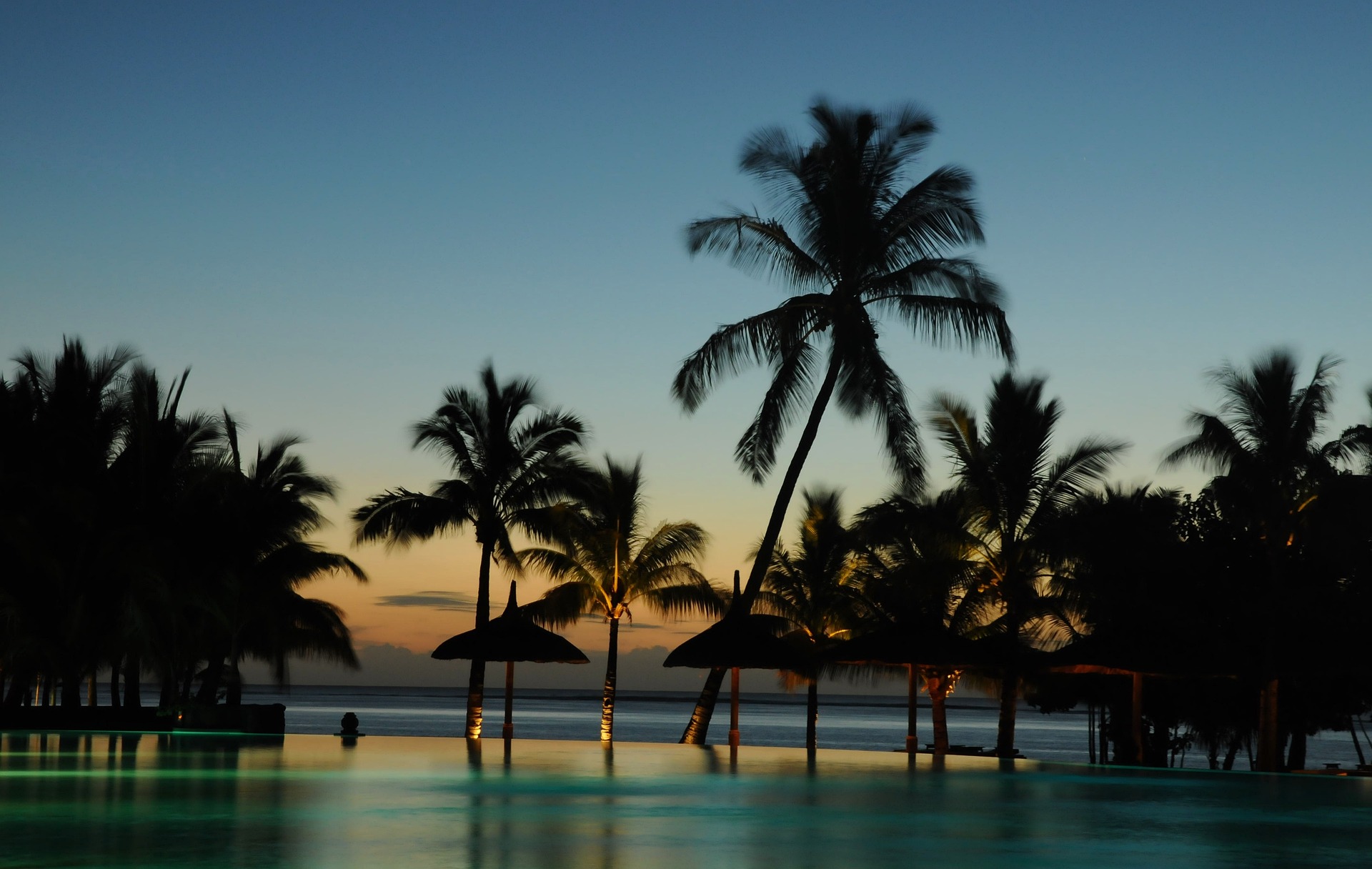 palm-trees-2512497_1920