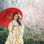 geisha-1822467_1920