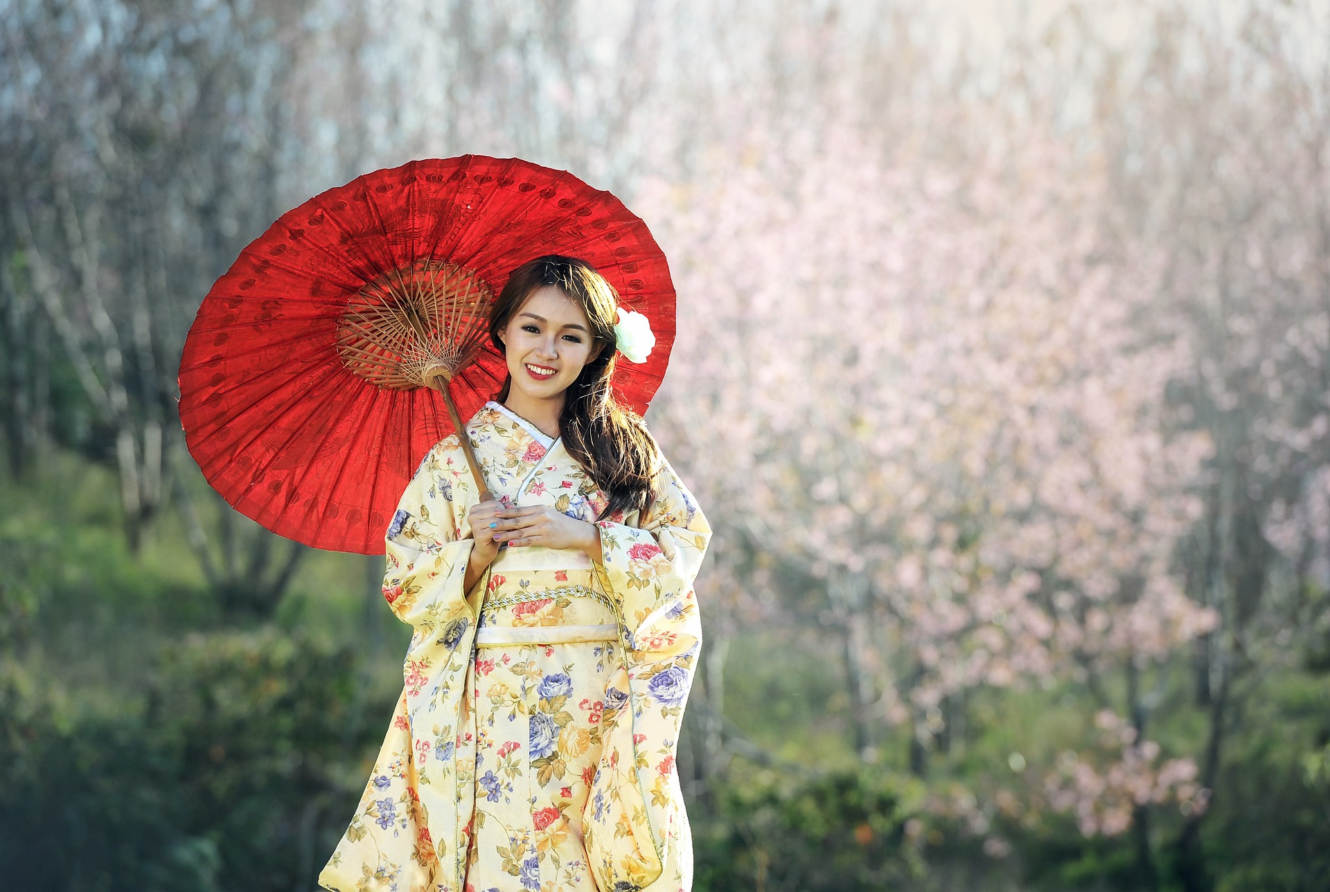 geisha-1822467_1920
