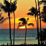 maui-2729958_1920