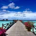 beach-4899408_1920