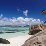 palm-trees-5465310_1920